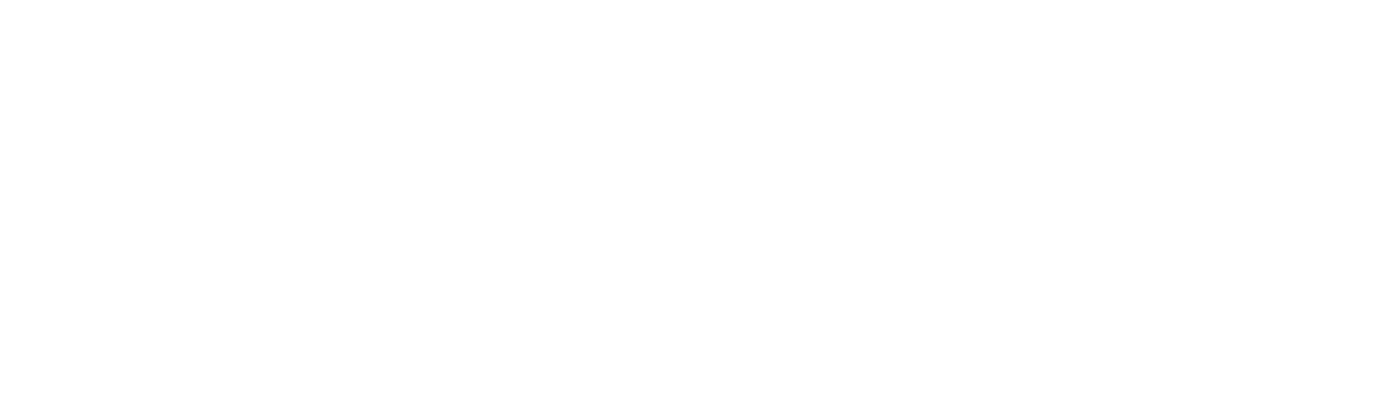 The Australian Literacy and Numeracy Foundation